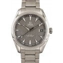 Omega Aqua Terra JW0787