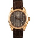 Replica Omega Seamaster Aqua Terra Red Gold JW0895