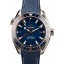 AAA Omega Seamaster Planet Ocean 600M CoAxial JW0961