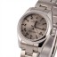 Rolex Lady Oyster Perpetual 176200 Roman Slate Dial T JW0567